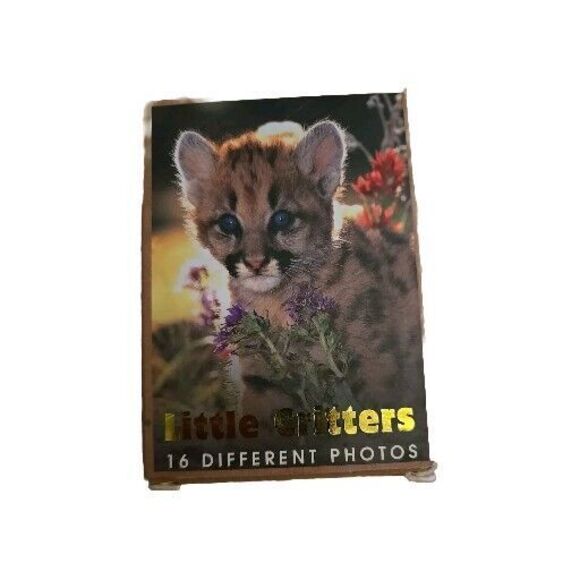 Little Critters Playing Cards Deck, Impact Photographics, 54 Playing Cards - Picture 1 of 7